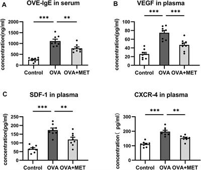 Metformin Ameliorates Inflammation and Airway Remodeling of Experimental Allergic Asthma in Mice by Restoring AMPKα Activity